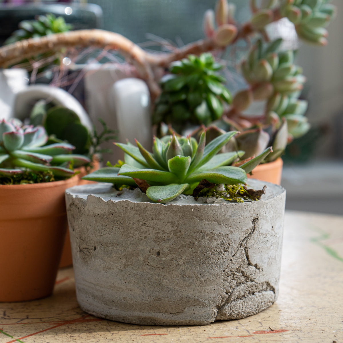 Making in Place Kits: Cast Concrete Planter – Open Works Baltimore