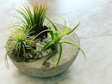 Load image into Gallery viewer, Making in Place Kits: Cast Concrete Planter
