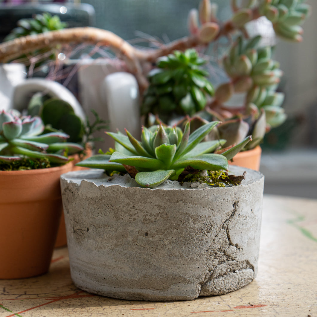 diy concrete pots for succulents Making in Place Kits: Cast Concrete Planter – Open Works Baltimore